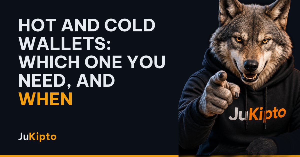 Hot and cold wallets: which one you need, and when