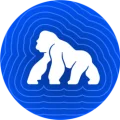 Official ApeCoin logo