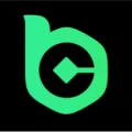 Official BCGame Coin logo