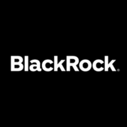 BlackRock USD Institutional Digital Liquidity Fund - Listado por capitalización de mercado