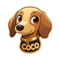 Official coco logo