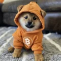 Official Dog (Bitcoin) logo
