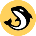 Official Orca logo